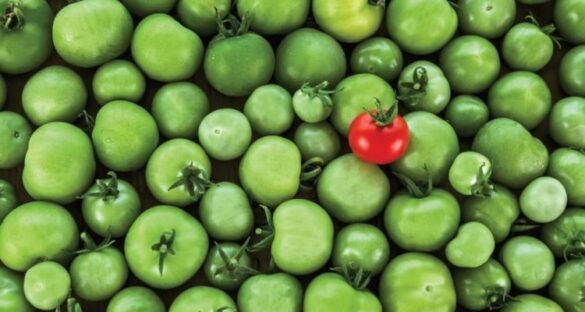 Опасные продукты в рационе: что мы едим каждый день