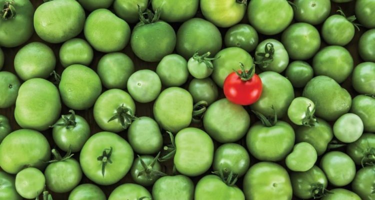 Опасные продукты в рационе: что мы едим каждый день