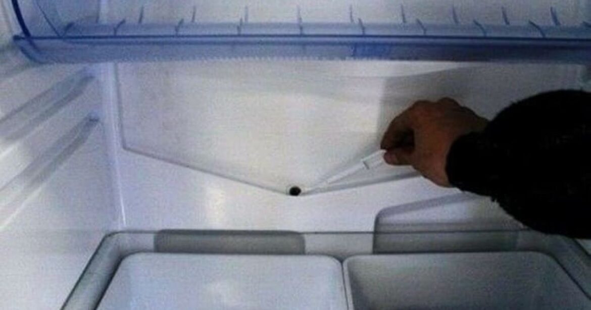 Секрет холодильника: что скрывается за неприметной деталью