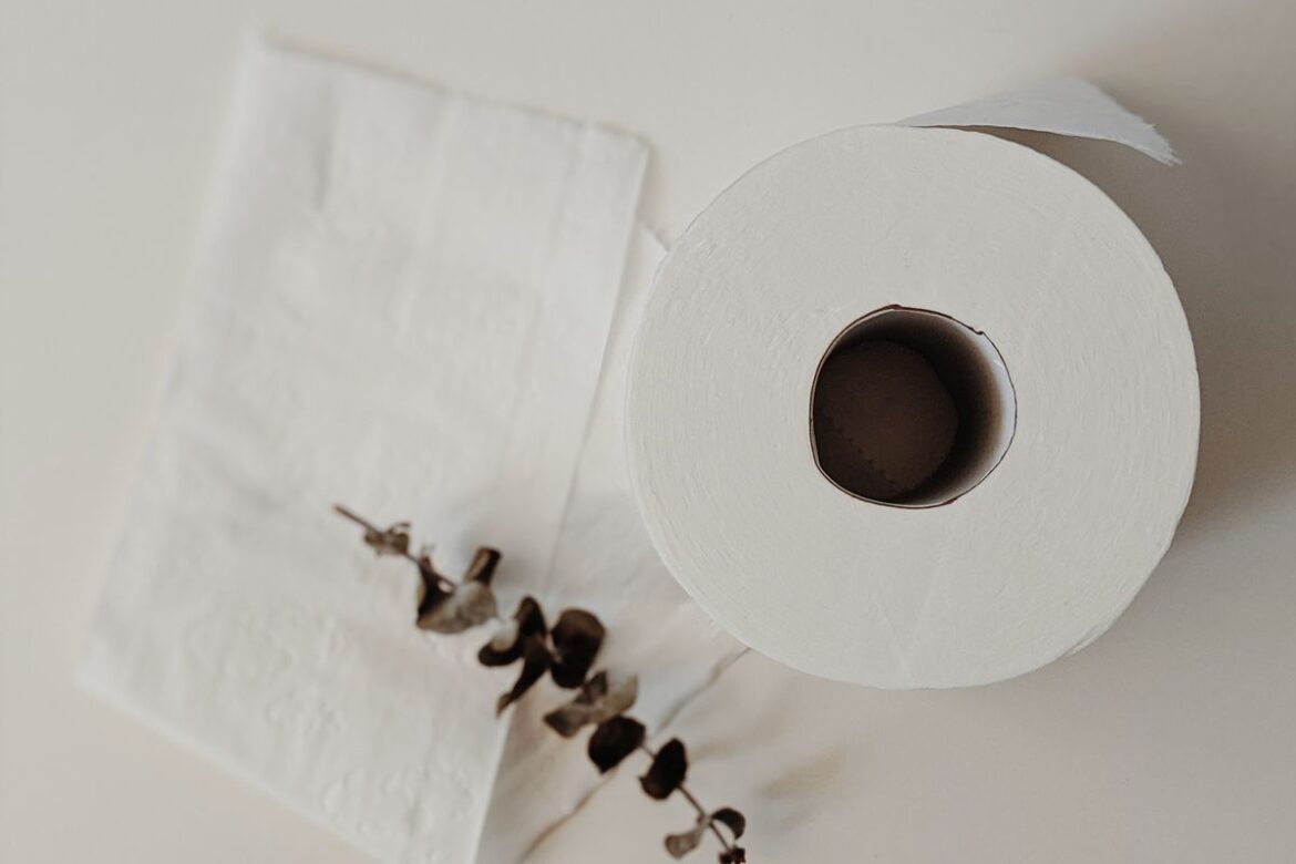 Как вырастить рассаду из семян: простые советы для новичков