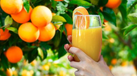 Напиток для здоровья: как снизить давление и вывести камни из почек