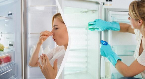 Здоровый сон: простые советы для крепкого отдыха