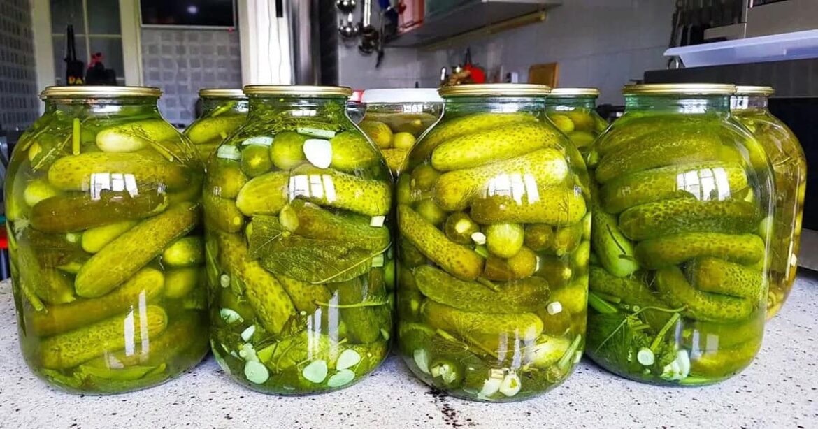Проверенный рецепт: квашеные огурцы холодным способом от проверенного поколения