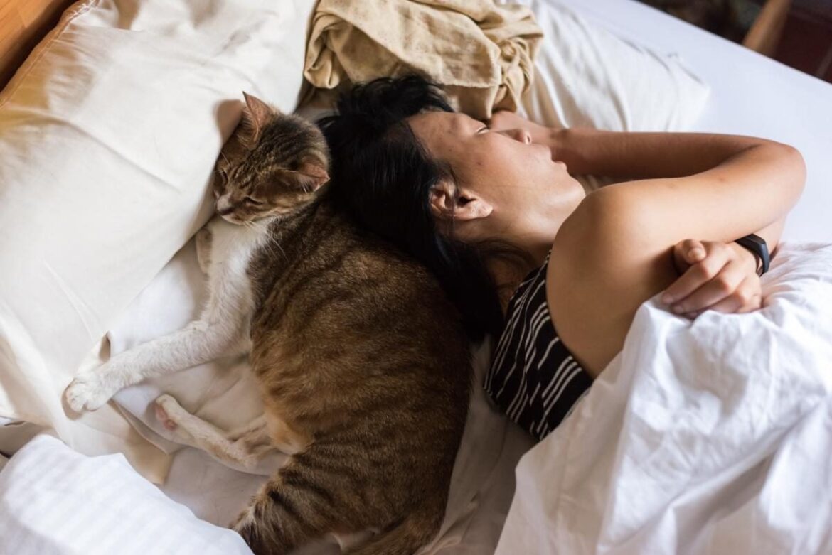 Почему кошка будит вас по утрам: неожиданные причины и советы