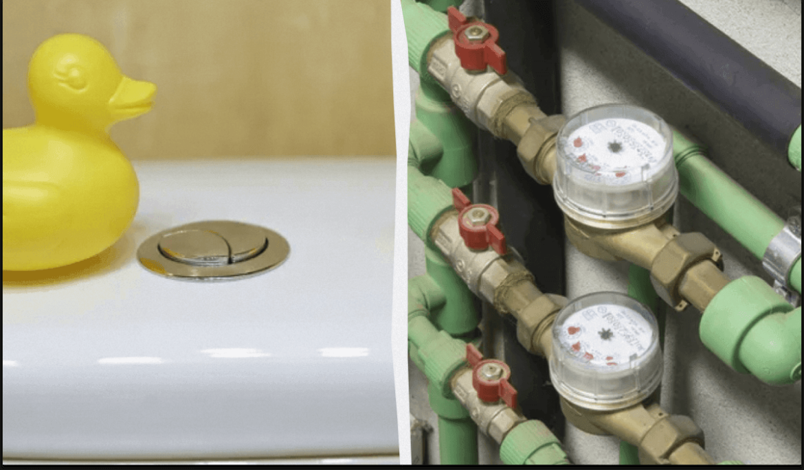 Как сэкономить на воде: секрет двух кнопок на бачке унитаза