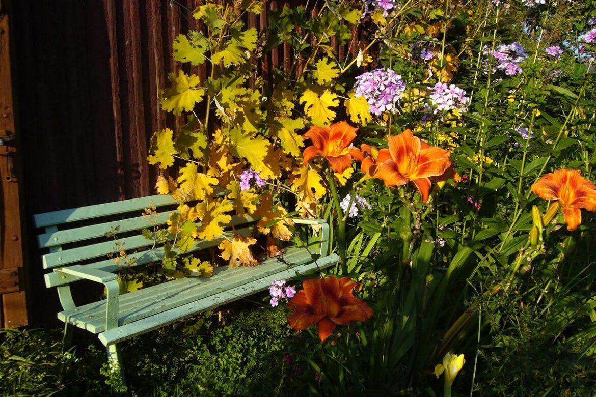 Как сделать сад уникальным: 3 многолетних растения для вашего участка