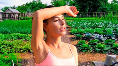 Защита здоровья на даче: советы экспертов по работе в жару