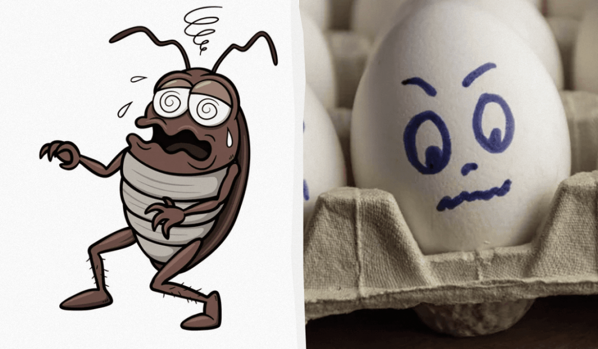 Уничтожаем тараканов навсегда: проверенные методы борьбы